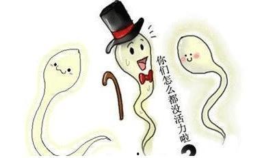 st吃瓜尊者,网络红人的崛起与影响力