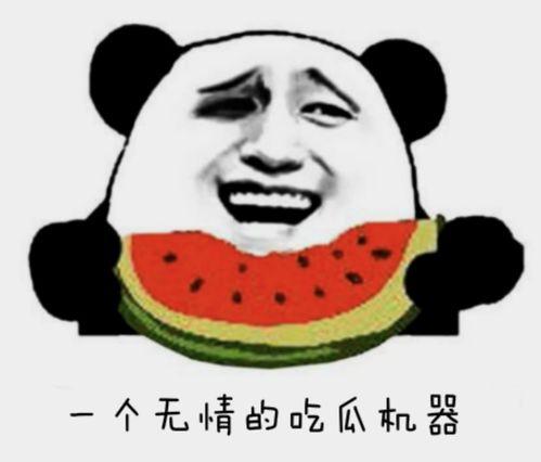 什么瓜我都吃,从明星八卦到时事热点，我都能一网打尽