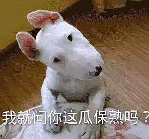 晚上睡不着吃瓜,揭秘夜晚吃瓜的奇妙体验