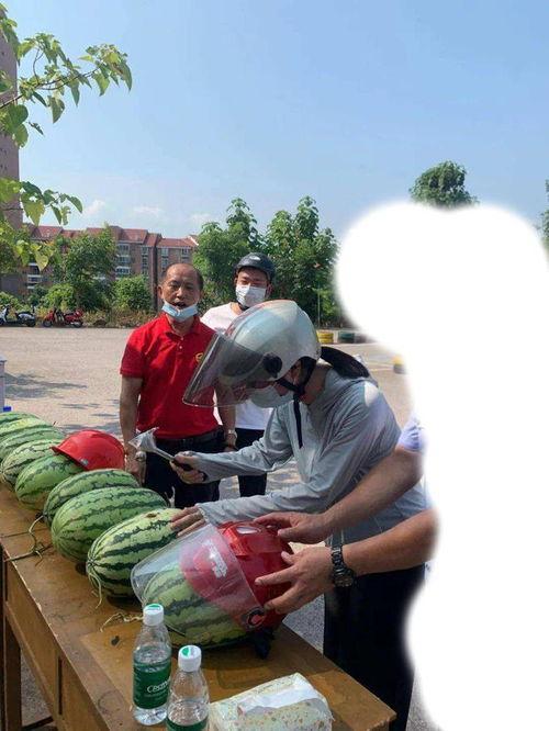新乡吃瓜的事件,一场网络舆论的风暴与反思