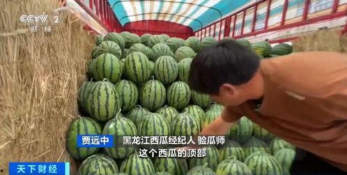 曹职吃瓜,揭秘娱乐圈背后的那些事儿