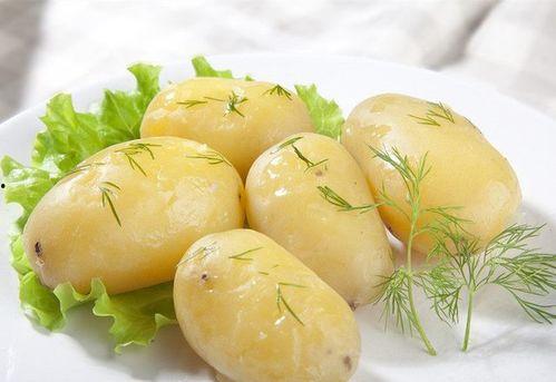 香菜爱吃猪蹄吃瓜,吃瓜群众的美食盛宴