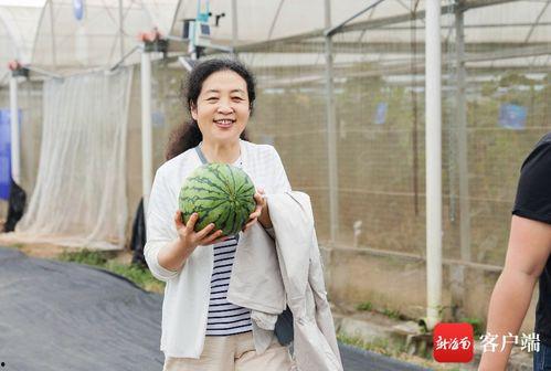吃瓜吴静,揭秘娱乐圈背后的故事