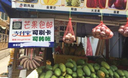 吃瓜群众的瓜摊淘宝店,一站式购物，尽享夏日清凉