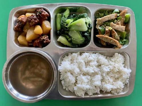 吃瓜姐妹社学猫叫,揭秘网络热梗背后的趣味与思考