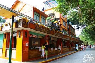 吃瓜乐园元光南路,美食与休闲的完美融合之旅