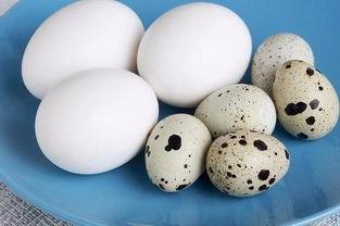 吃鹌鹑蛋还能吃哈密瓜吗,同餐共食的饮食搭配探讨
