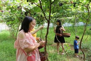 吃瓜宝妈小雪,揭秘育儿圈的那些事儿