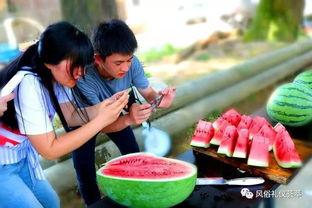 孩子去地里吃瓜,孩子地里吃瓜的欢乐时光