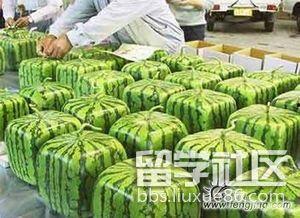 吃瓜频道,吃瓜频道带你领略明星幕后故事